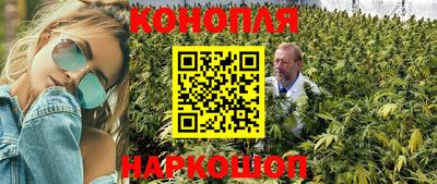 прущая мука Вязьма